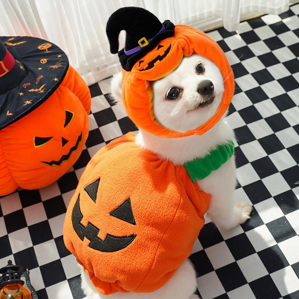 Pumpkin Dog Costume Halloween Puppy Warm Outfit Cozy Dog Festival