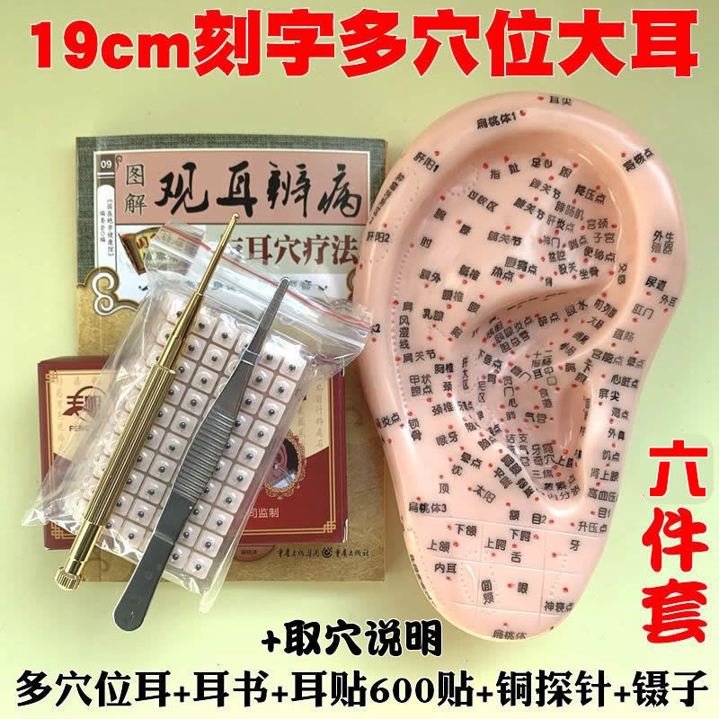 Ear Model Ear Auricular Points Pressure Bean Ear Patch Ear Bean Seed ...