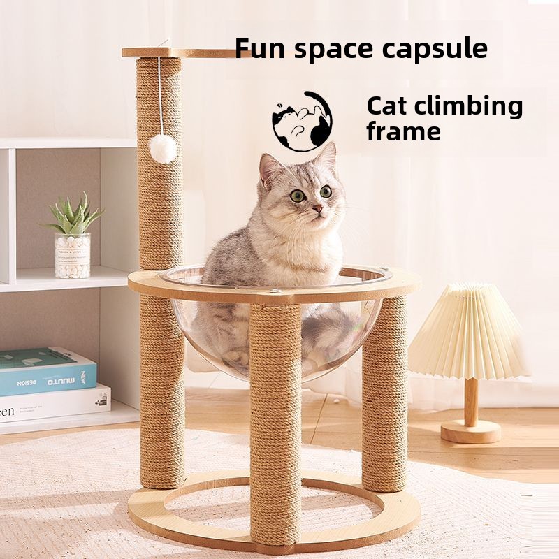 Image showcasing 【SG🚚】Cat Climbing Frame Scratching Pole Vertical Transparent Cat Nest ...