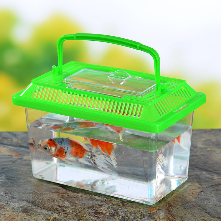 Catch and Release Beach Aquarium, Clear Plastic Fish Bowl with ...