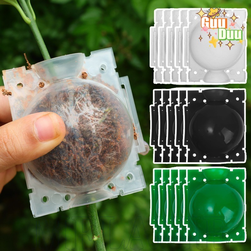 20-5PCS Plant Rooting Ball - Reusable Plant Root Growing Box ...
