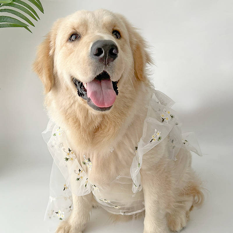 dog wedding dress golden retriever Woofylove Special Events Dog Dress: Make Every Occasion Unforgettable for  Your Fur Baby main image 0