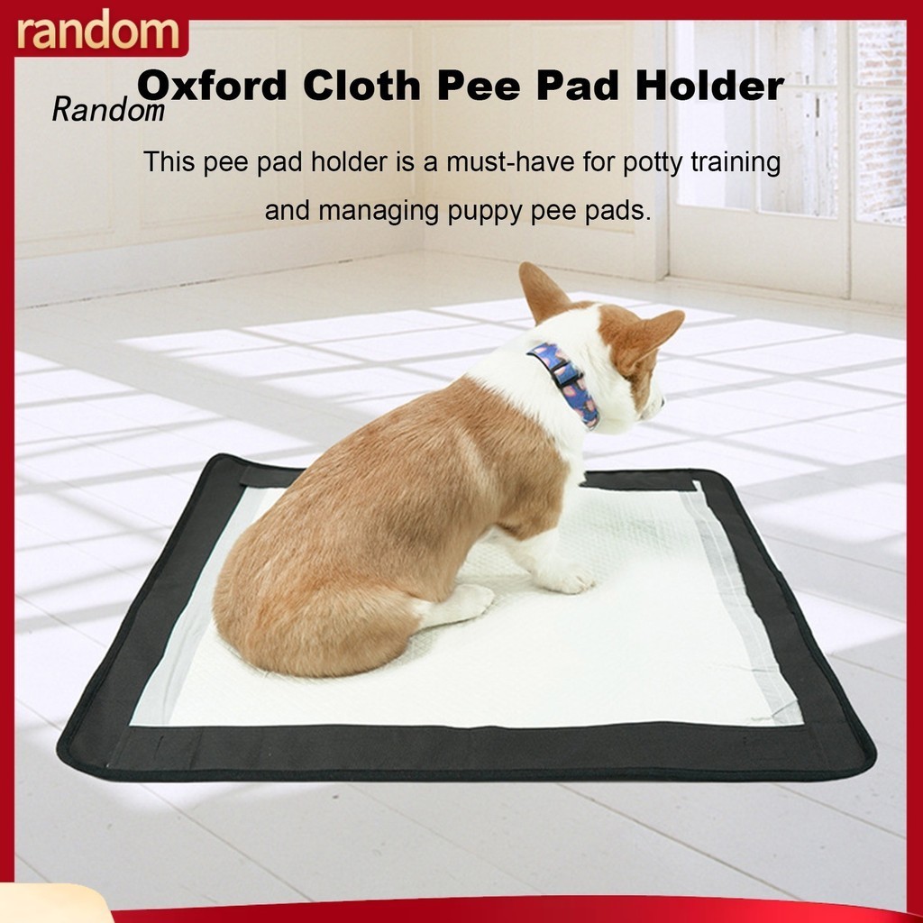 How to use puppy toilet training pads best sale