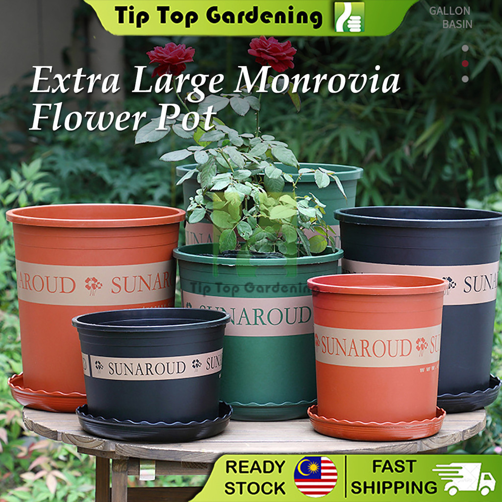 Pasu Bunga Plastik / Monrovia Extra Large Flower Pot Army Green Gallon ...