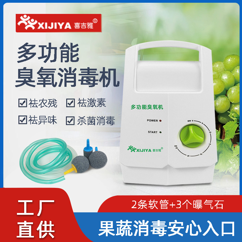 Small Ozone Generator Fruit and Vegetable MultiFunctional Active