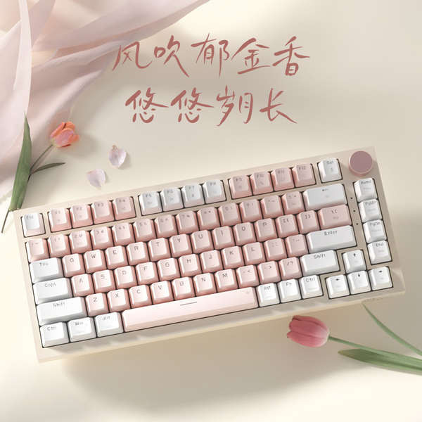 wireless keyboard Mechanical keyboard blue and red axis girls cute pink ...