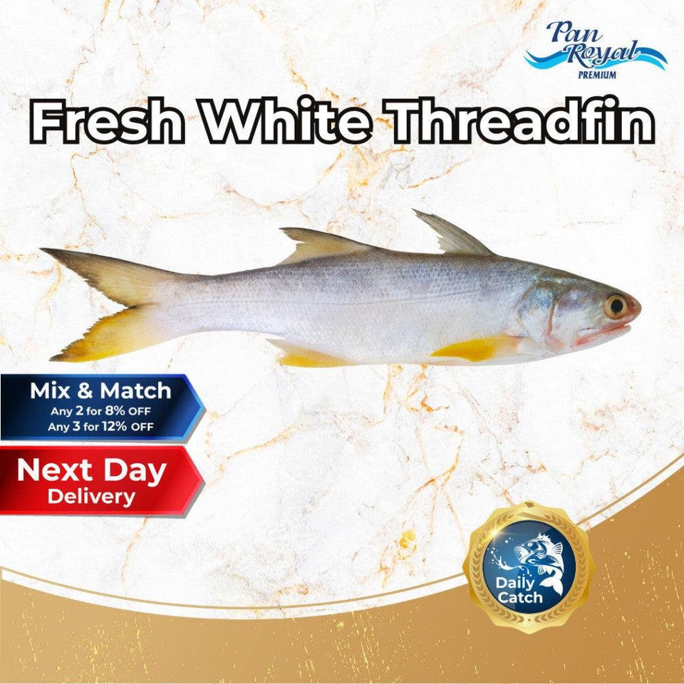 [PAN ROYAL] Fresh White Threadfin (500g +/-) | Shopee Singapore