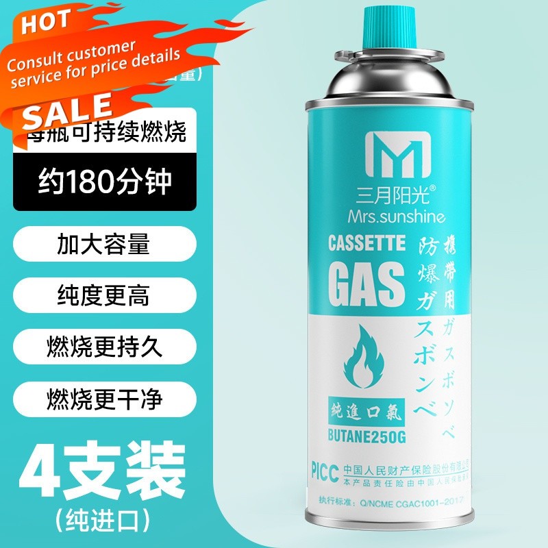 Explosion-Proof Portable Gas Stove Gas Tank Outdoor Small Gas Cylinder ...