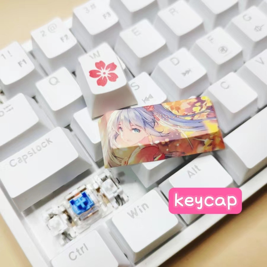 P PBT Keycap Two-Dimensional Mechanical Keyboard Keycap | Shopee Singapore