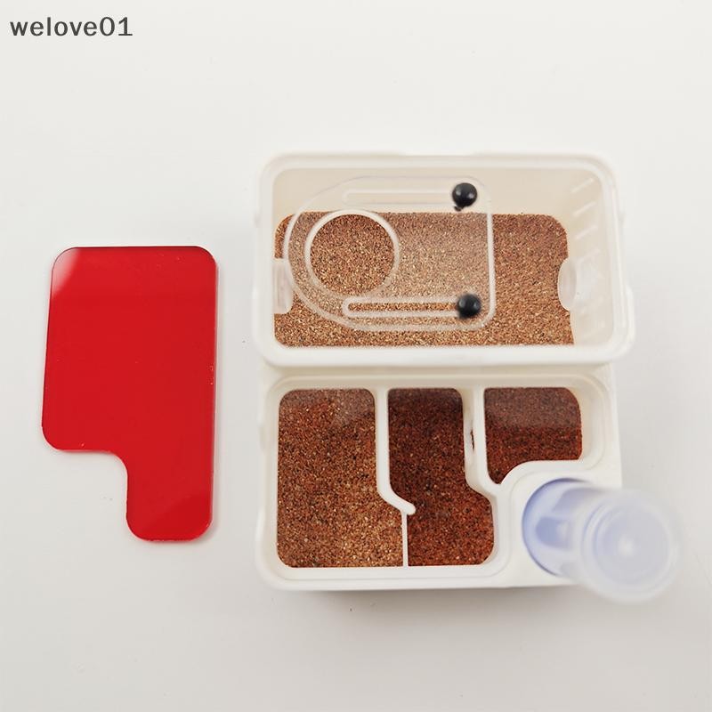 [welove01] 3D Printed Ant Farm Queen Ant's Nest Supplies For Beginner ...