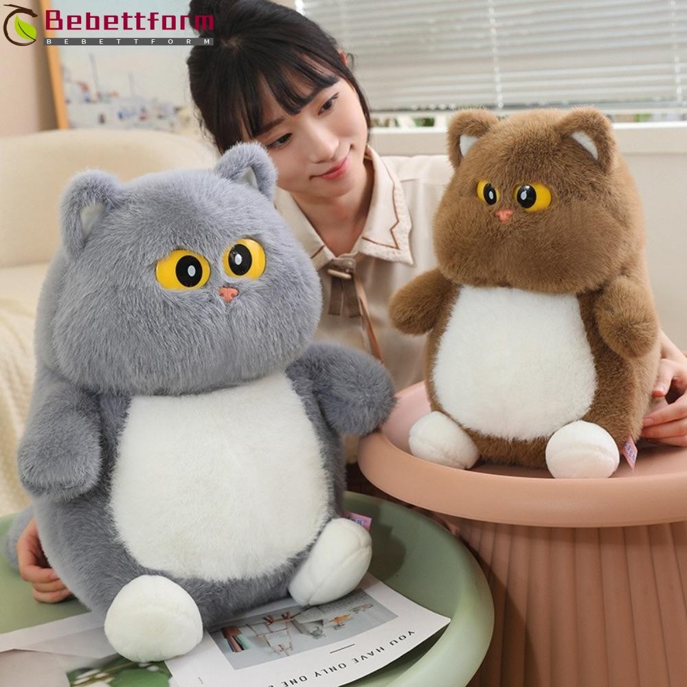 BEBETTFORM Stuffed Animals Dolls 23 35cm Durable Cartoon Big Eyes Cat Plush Toys High Quality Gray Brown Soft Round Face Toy Shopee Singapore