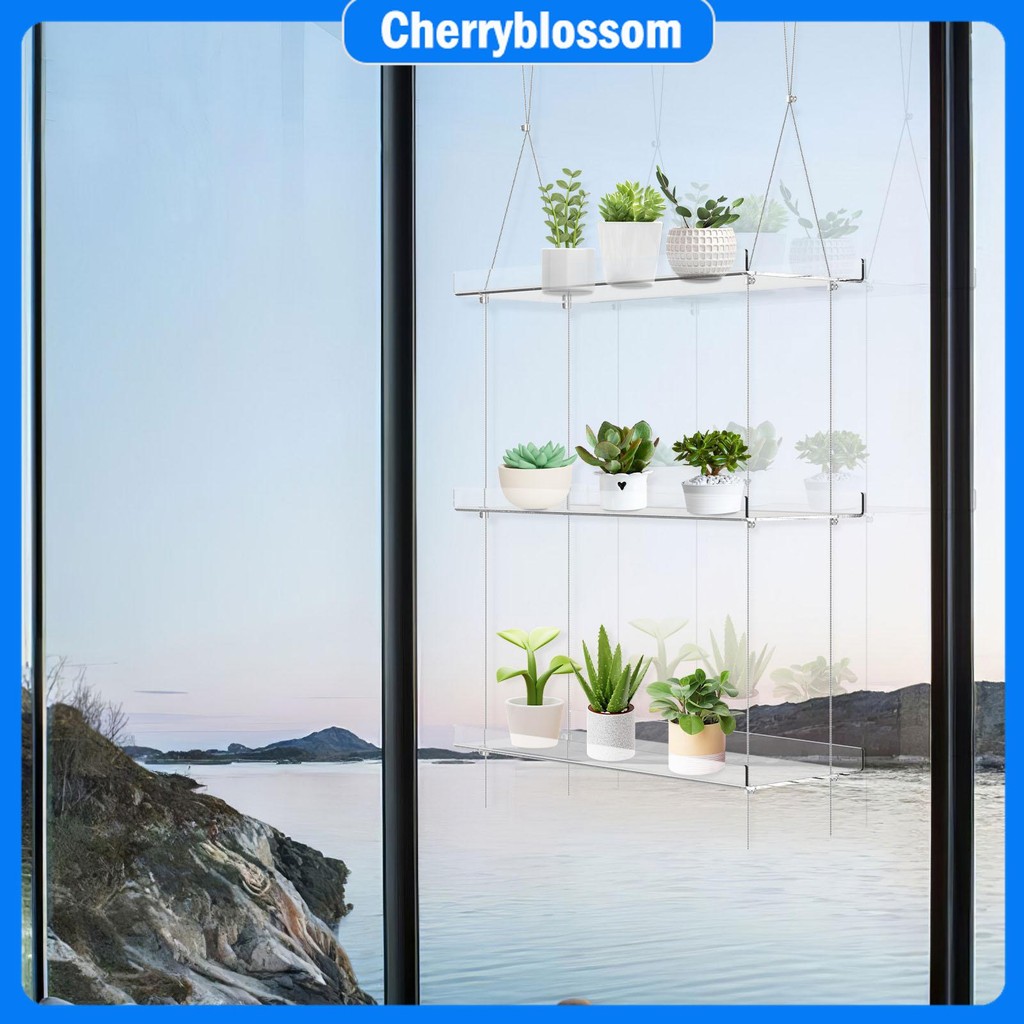 Plants Shelves Clear Acrylic Window Wall Plants Stand Shelf Holders for ...