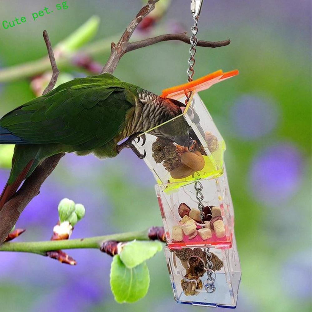 FUZOU Parrots Feeder Acrylic Hanging Bird Food Holder Creative Transparent Bird Treats Holder For Lovebird