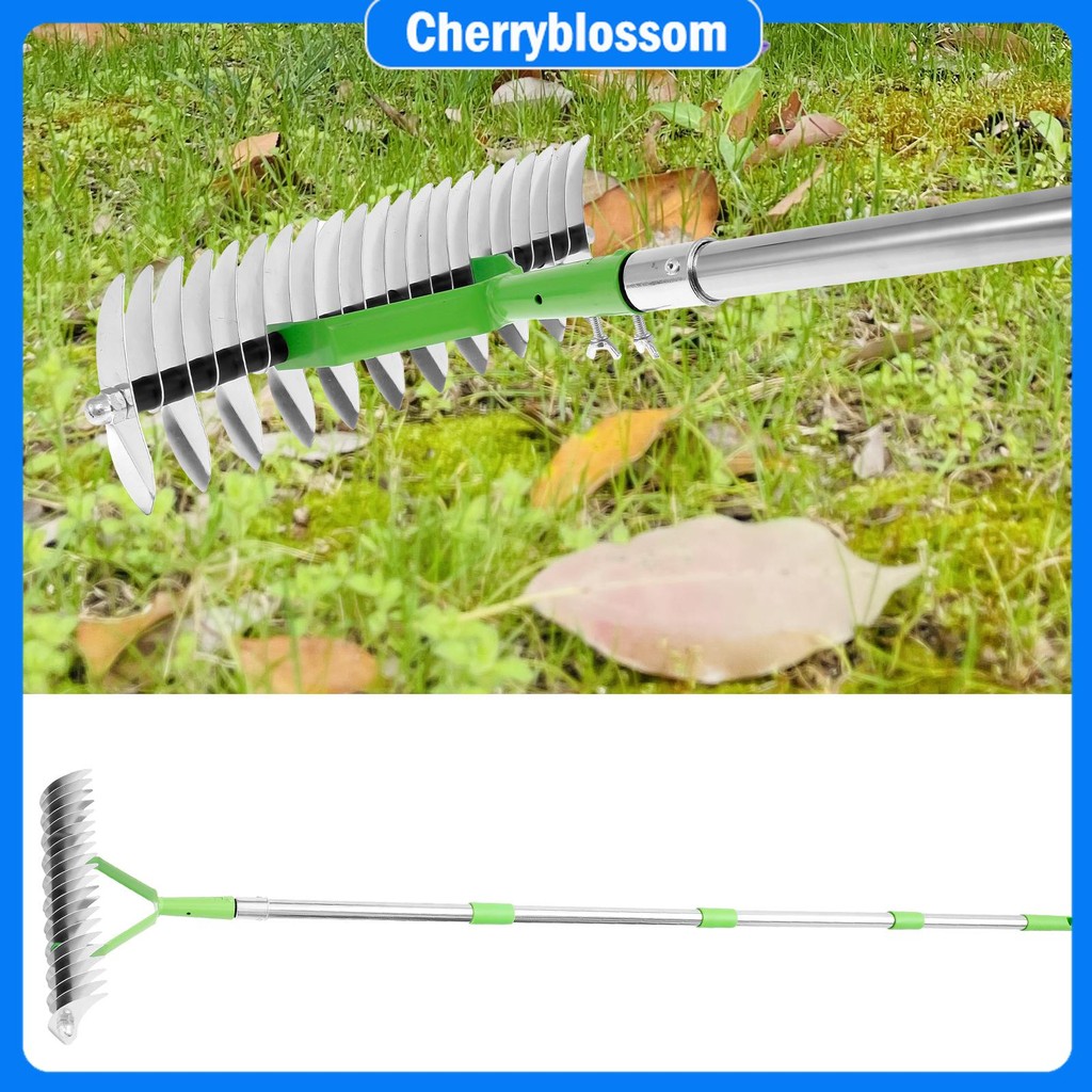 Thatch Rake Double Sided Lawn Thatching Rake with 66.9 Inches Stainless ...