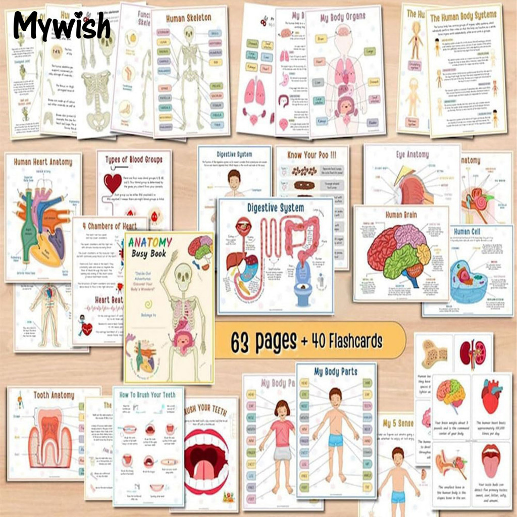 [MW] Educational Human Body Book Toddler Anatomy Busy Book Interactive