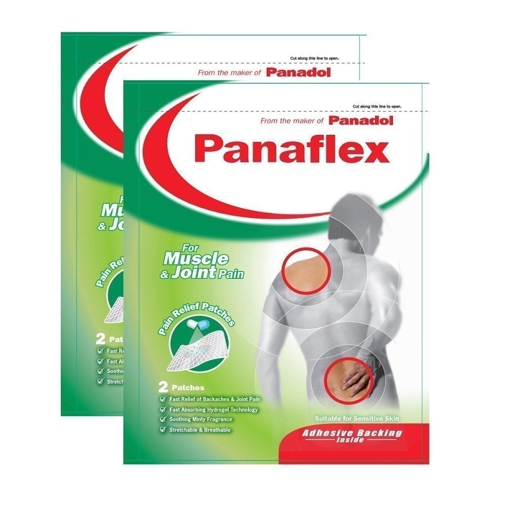 [2 Packs] PANAFLEX Muscle & Joint Pain Relief Patch 2s | Shopee Singapore