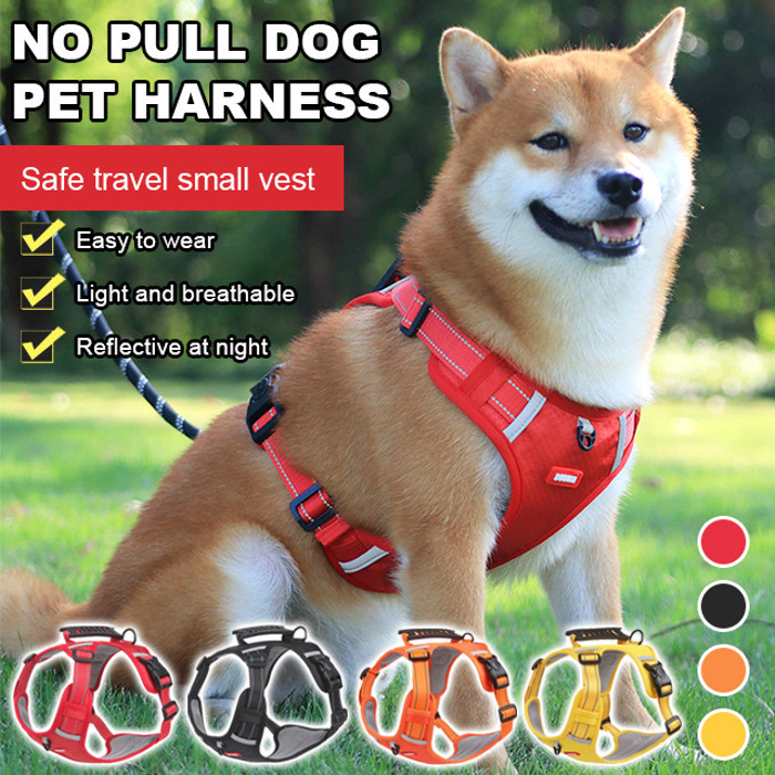 Shiba inu leash pull sales