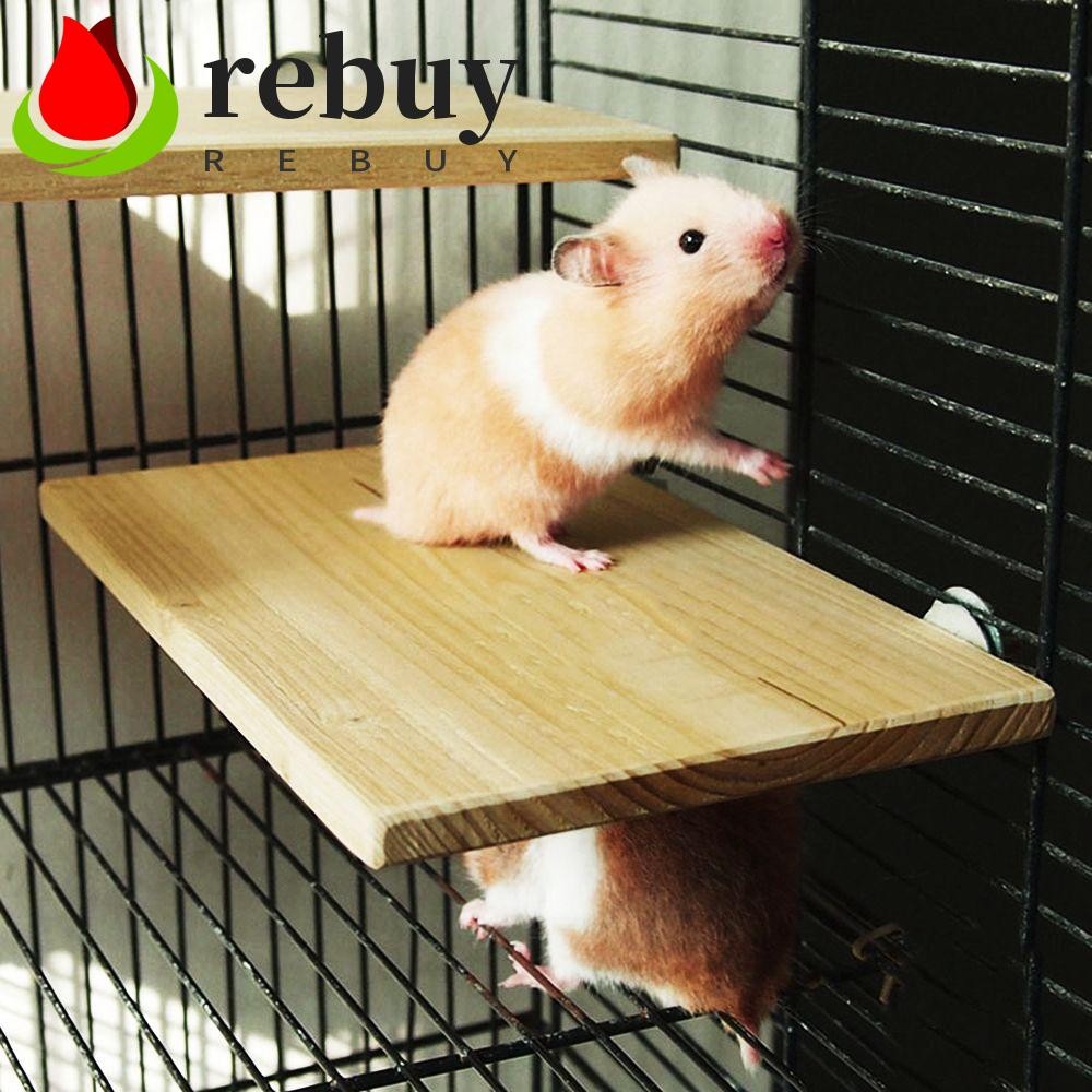 REBUY Squirrel Pet Supplies Springboard Parrot Rack Wood Stand Platform ...