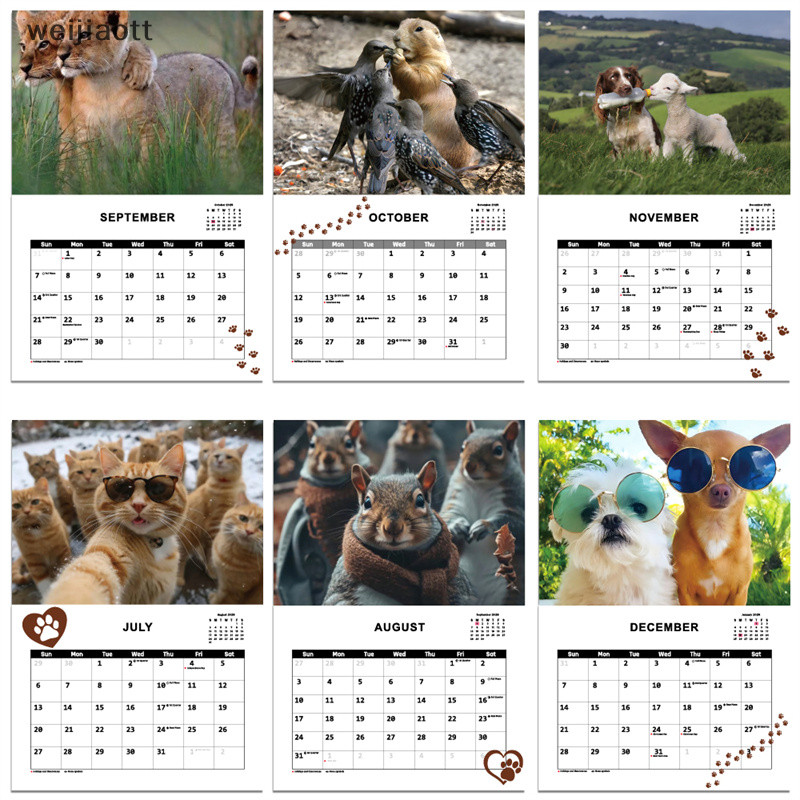 [weijiaott] New 2025 Dogs Pooping Calendar 2025 SG Shopee Singapore