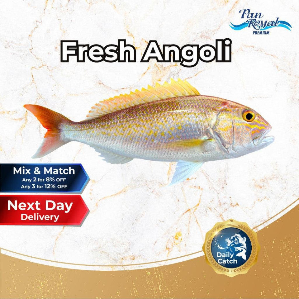 [PAN ROYAL] Fresh Sea Caught Angoli (700-800g) | Shopee Singapore