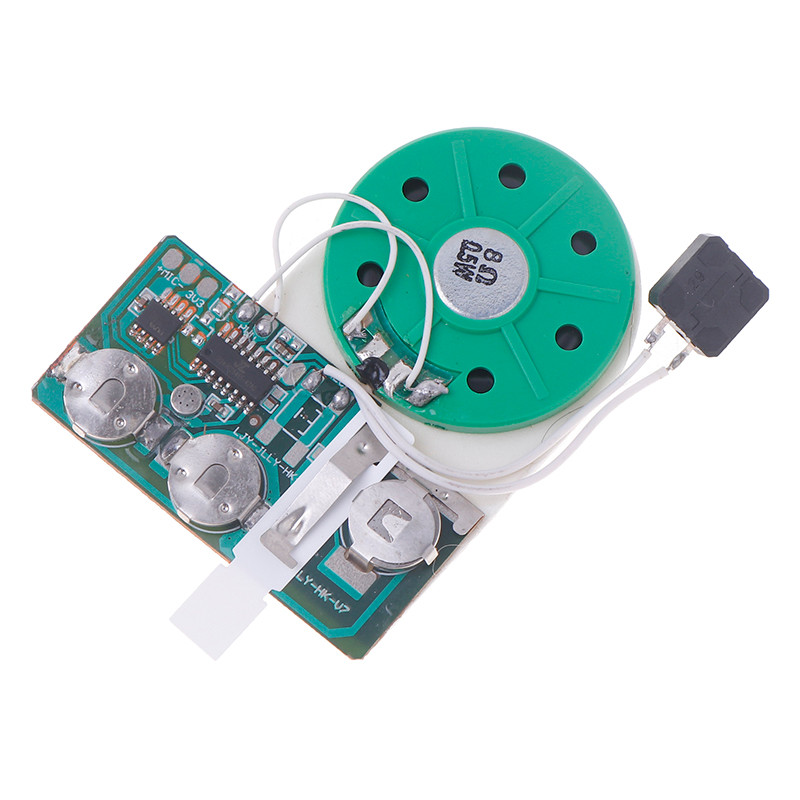 Jointflowerfree 40-60 Second Recording Playback Module Key Recording ...