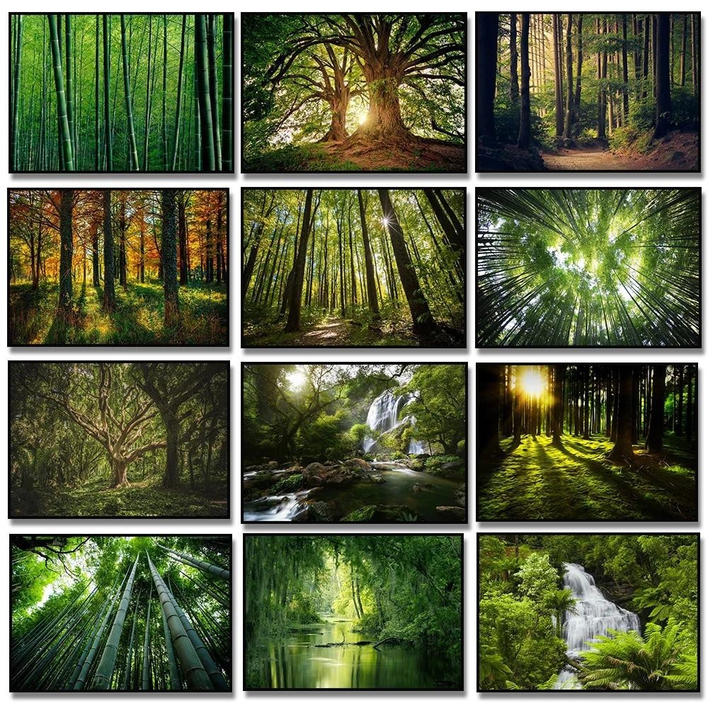 Nature Scenery Green Trees Forest Bamboo Waterfall Landscape Canvas ...