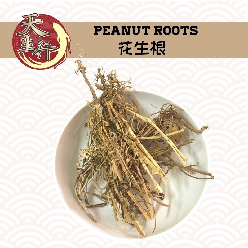 【天生行】花生根 / Peanut Roots 100G Peanut Root Rhizoma Arachis Hypogaea ...