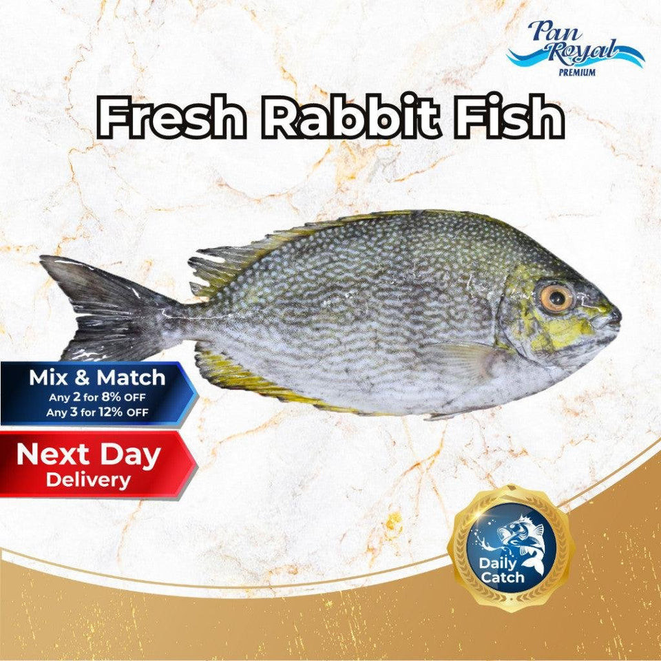 [PAN ROYAL] Fresh Rabbit Fish (Indonesia KaSu) (450g +/-) | Shopee ...