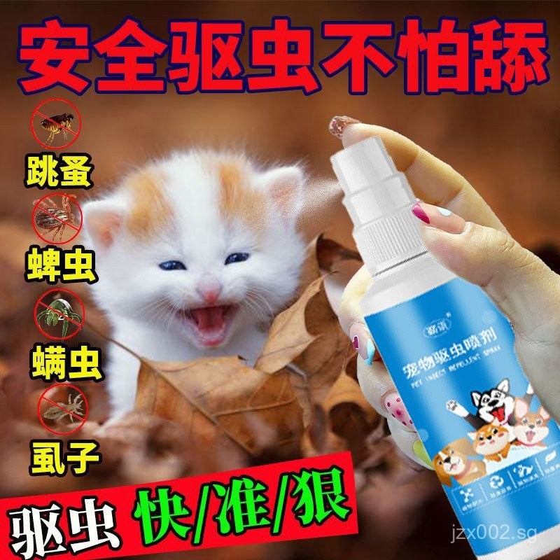 Insect repellent Cat delousing Cat Outside Cat Tick Flea spray