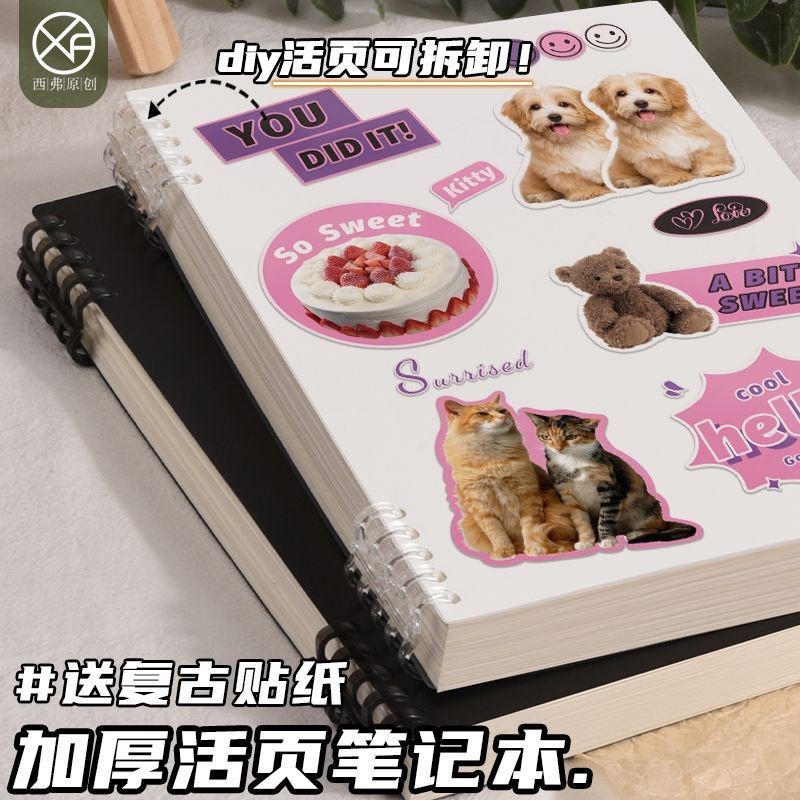 American Loose-leaf Notebook Coil Notebook Student Dedicated b5 Coil ...
