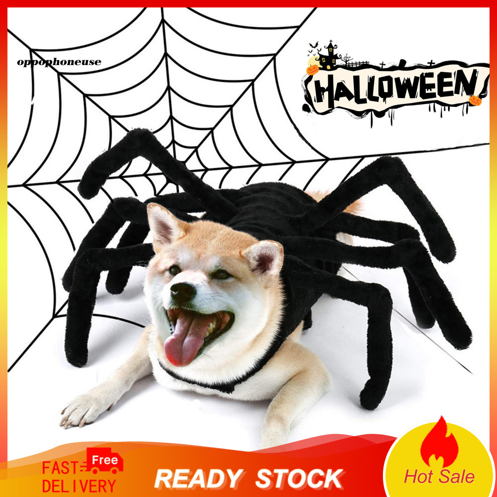 Halloween spider costume for dogs hotsell