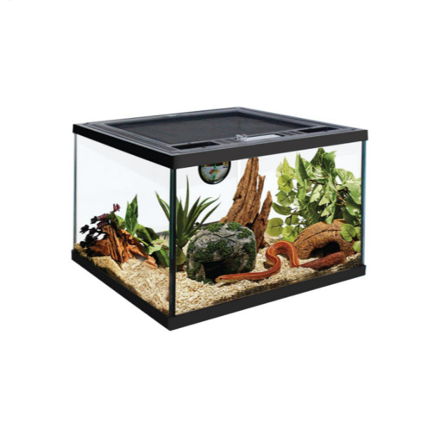 Pet Reptile Terrarium, Top Opening Aquarium Tank with Screen ...