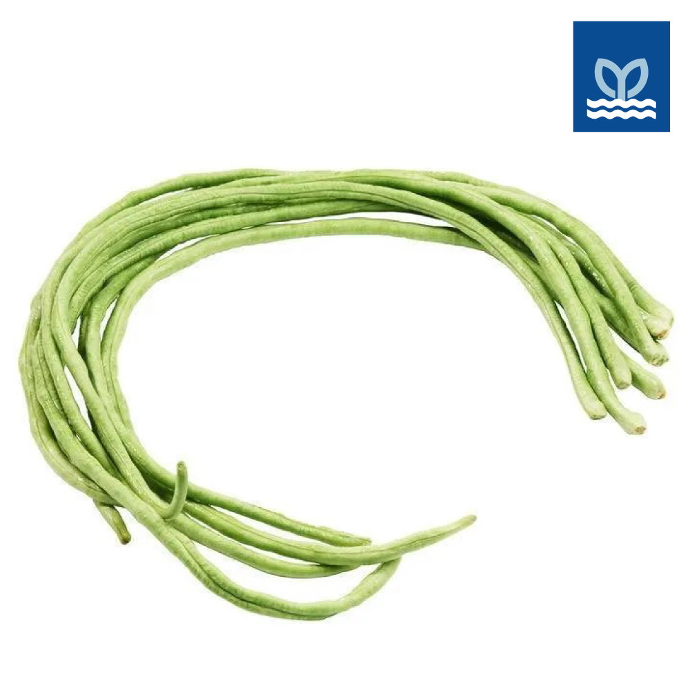 Prime Fresh - Long Bean 长豆 250G | Shopee Singapore