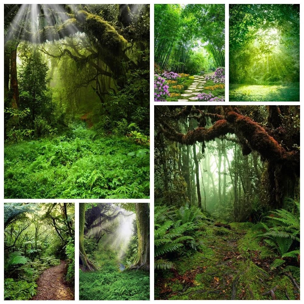 Spring Natural Scenery Forest Photography Backdrop Tropical Jungle ...