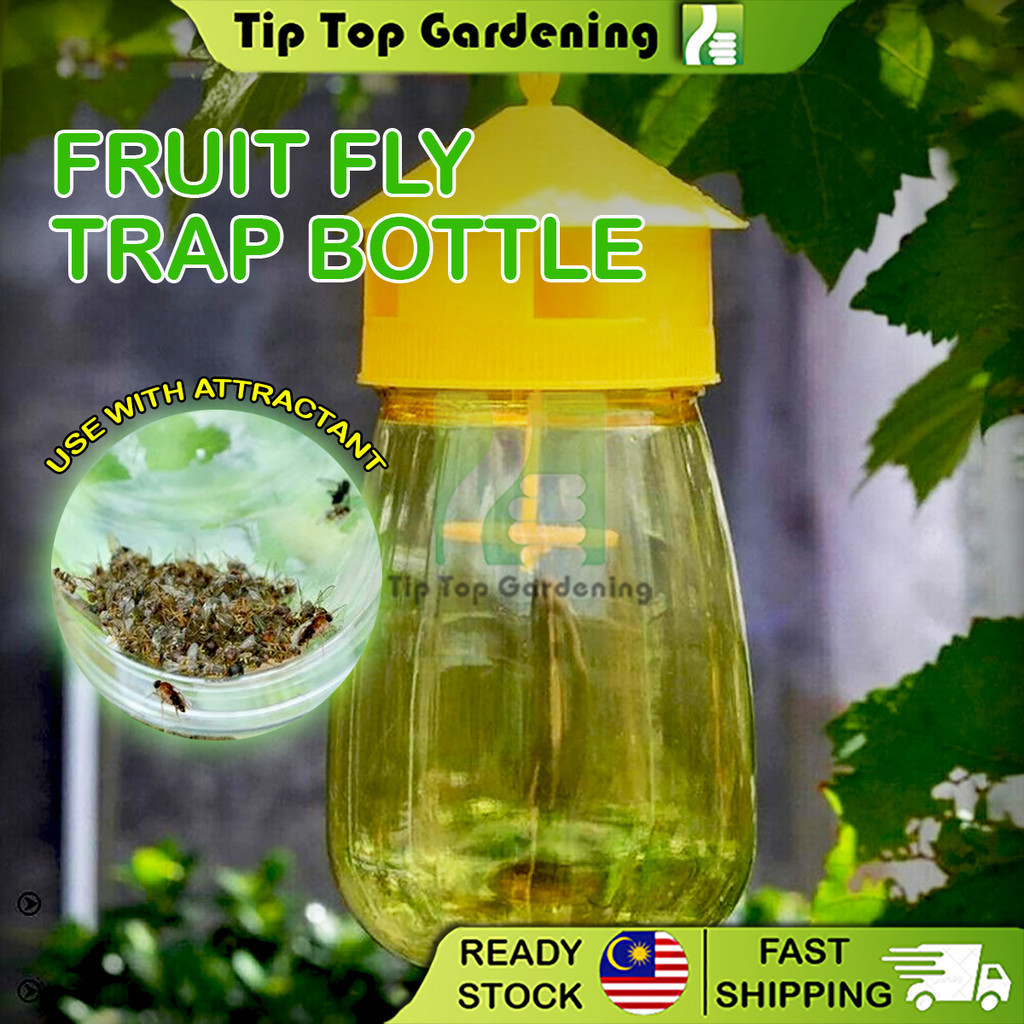Garden Fruit Fly Trap Bottle Insect Flies Catcher Fruit Fly Attractant ...