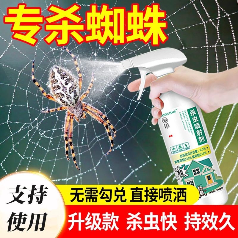 Spider Medicine Household Indoor Non-Toxic Killing Spider Medicine ...