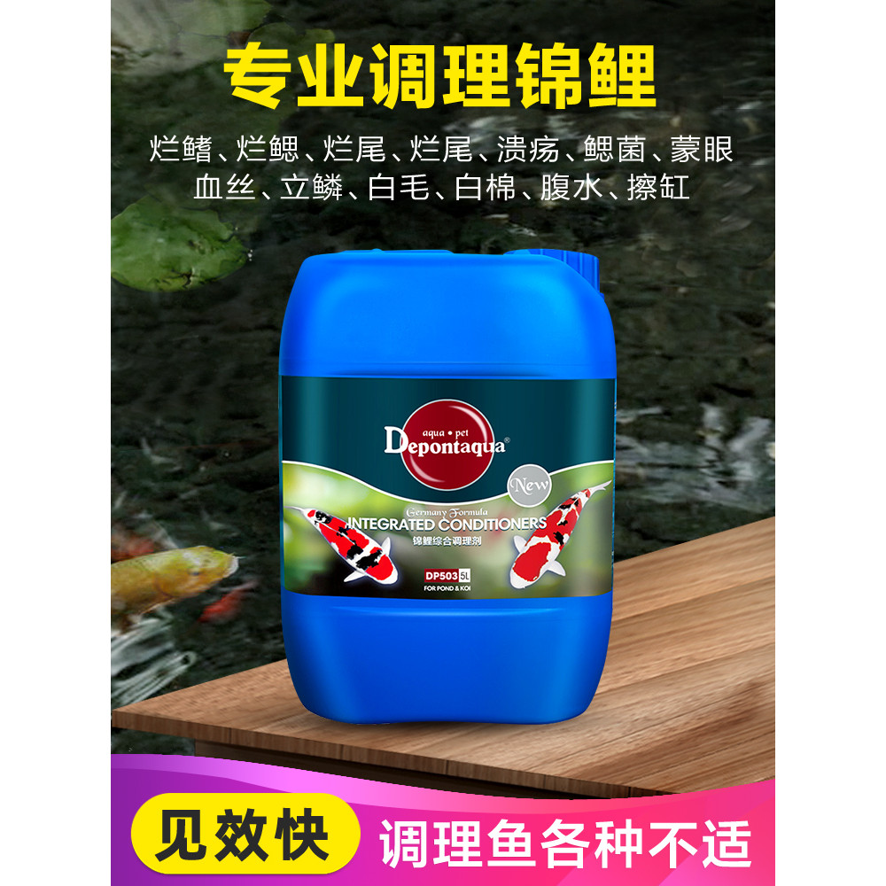 Debon Koi Fish Pond Care for Rotting Flesh, Rotting Body, Rotting Tail ...