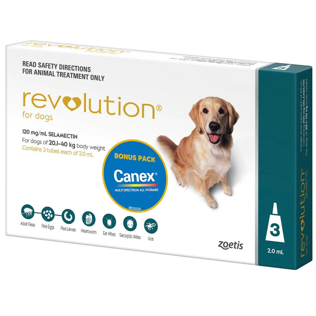 Liquid heartworm medicine best sale