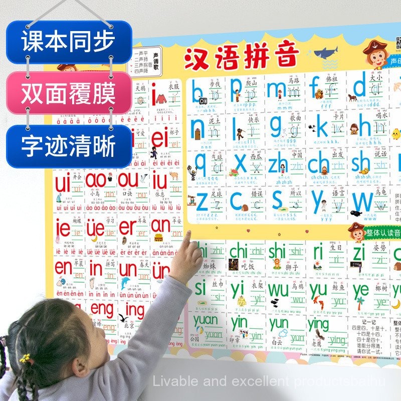 sg Chinese Pinyin Consonant Rhyme Meter Wall Chart Primary School First ...