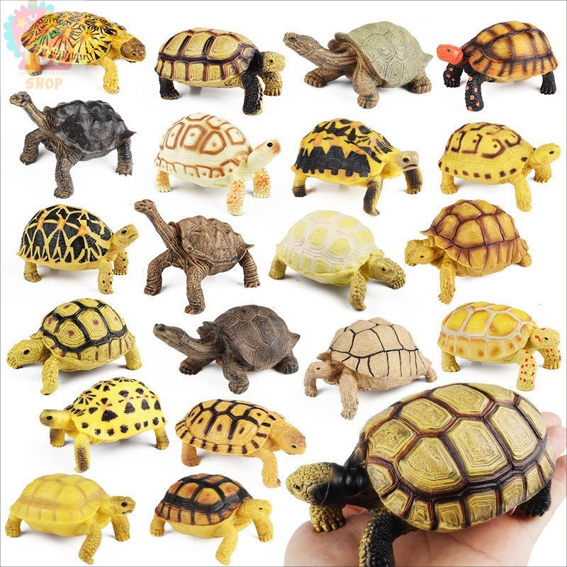 Children Science Educational Toys Solid Turtle Simulation Wildlife ...