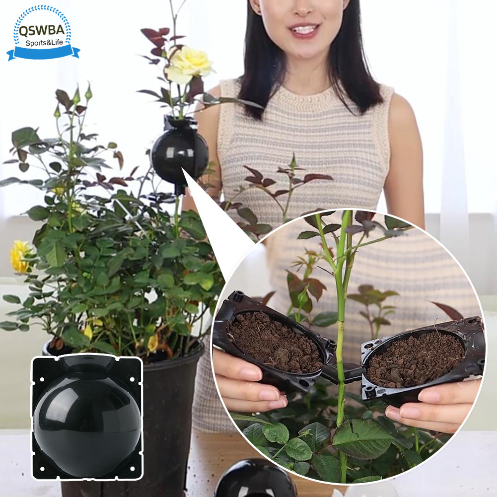 Airs Layering Pods Lockable Design Plant Root Growing Box For Fruit ...