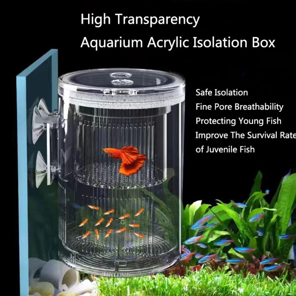 LEMONTRE Floating Hatching Box, Transparent Acrylic Shrimp Guppy ...