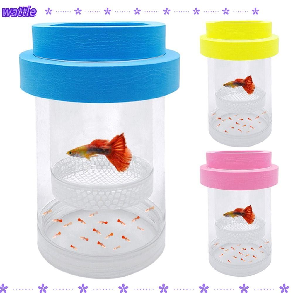 DQITJ Floating Acrylic Breeding Box For Aquarium Fish & Shrimp - 3.38" X  3.38" X 4.33" Isolation