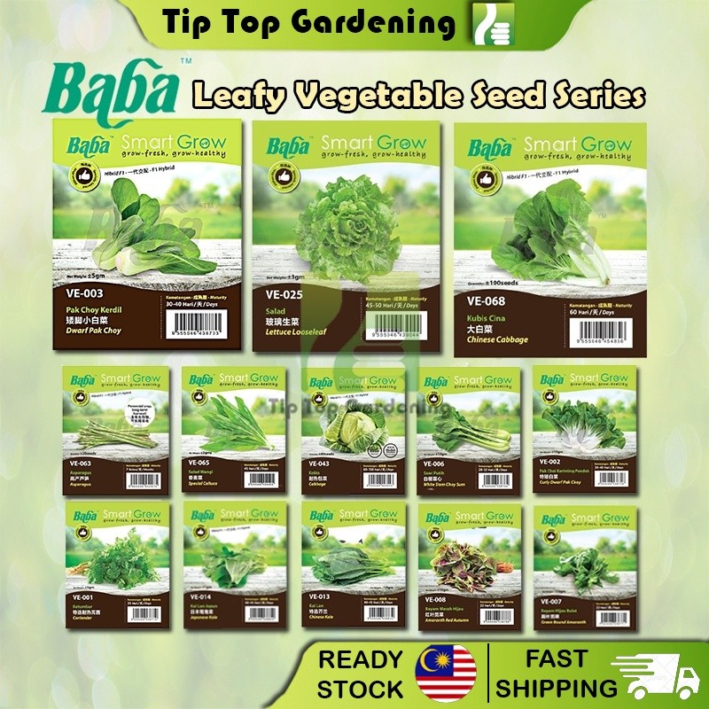 【EXPIRED - Buy 1 Free 1 - Random】BABA Original Smart Grew Leafy ...