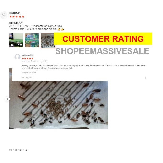 Insects Sticky trap Cockroach & Lizard Lipas Cicak Trap roaches ...