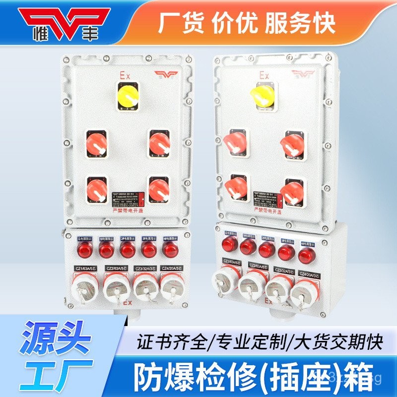 Dust Explosion-Proof Distribution Box Junction Box Maintenance Box ...