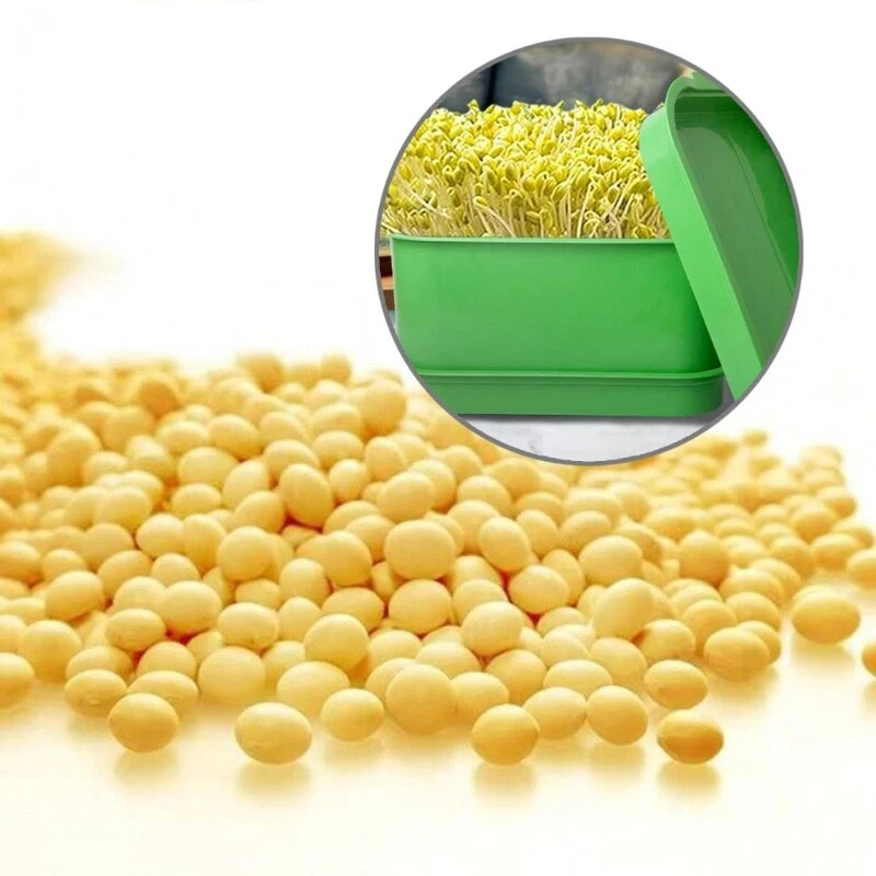 Seed Sprouter Kits Bean Sprout Tray Microgreens Propagators Grow Trays ...
