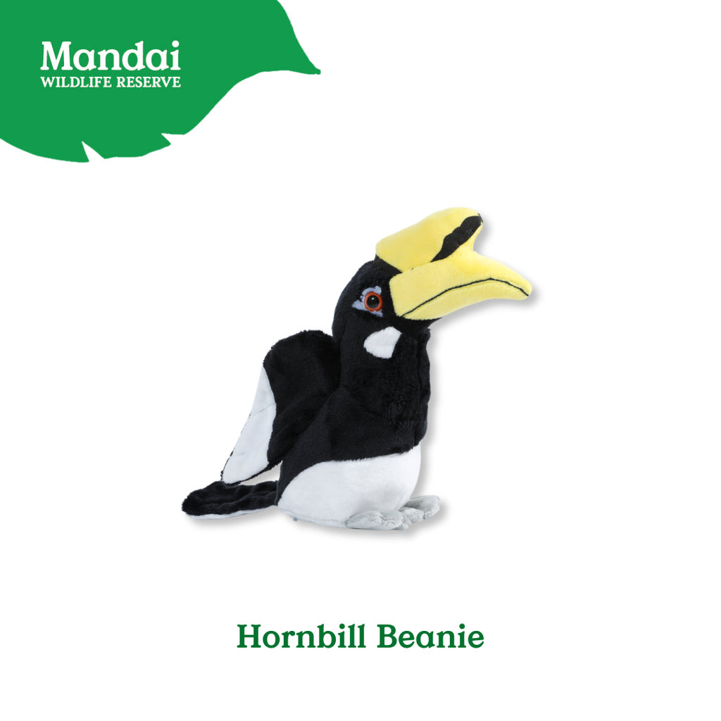 Hornbill plush online