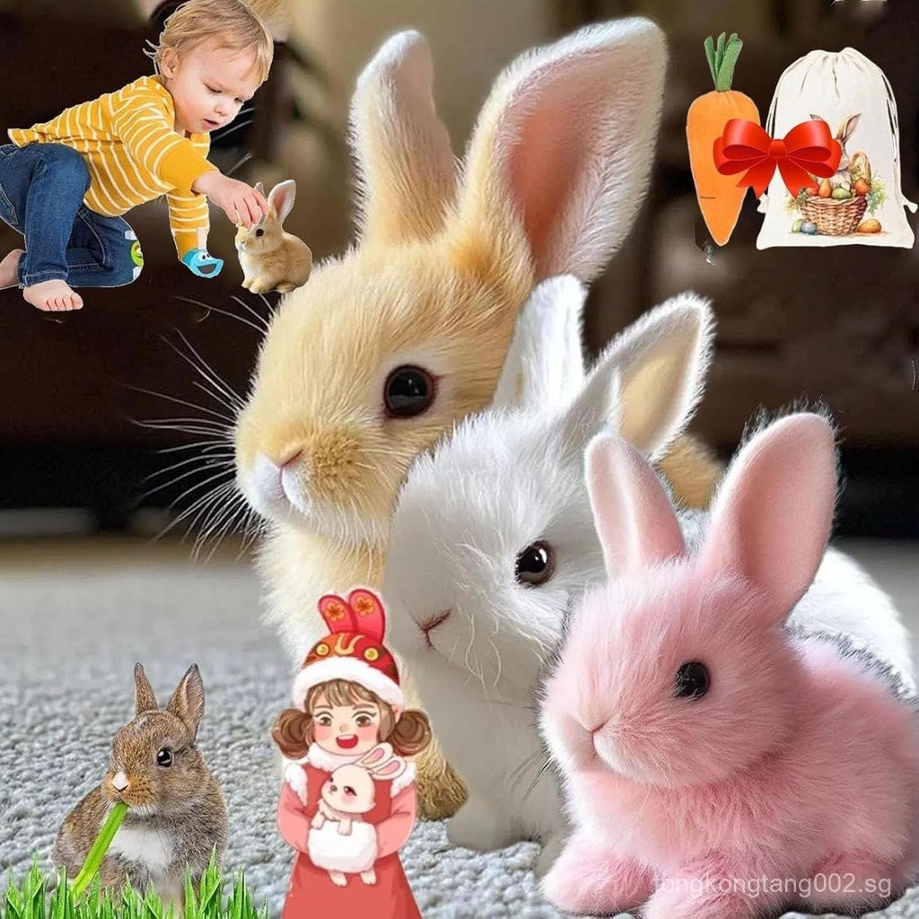 Petsboro Bunny Pal, Bunby - My Realistic Bunny Toy, BunnyPal, Bunbi ...