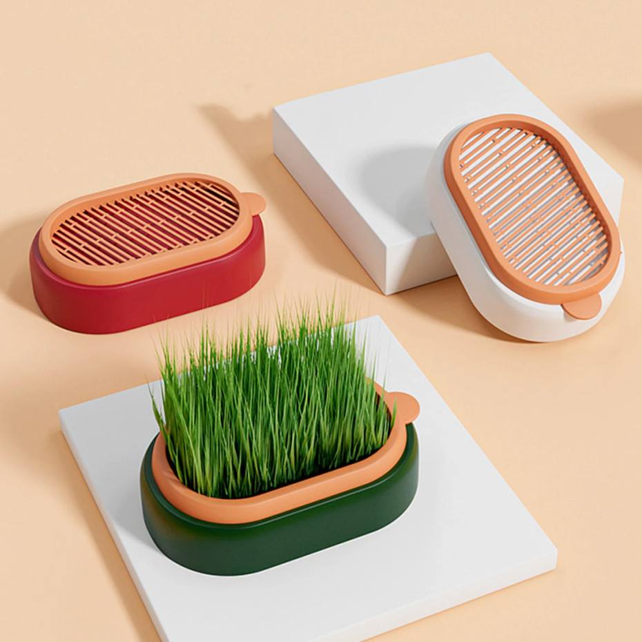 Cat Grass Planting Box Soilless Hydroponic Plant Cat Grass Home Seed ...